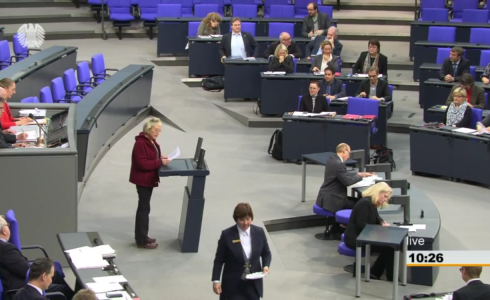 Eva im Plenum: "Regierung hat Klimaschutzplan in den Sand gesetzt" (Foto: Screenshot BT/privat)